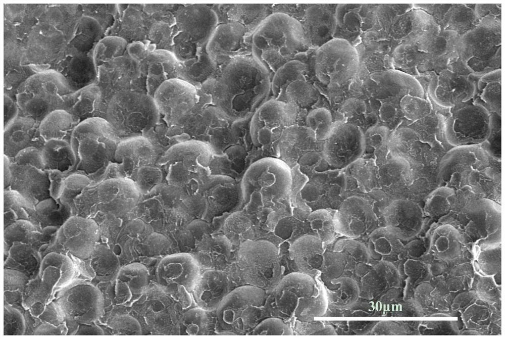 Preparation method of lightweight high-shielding PA6/PS composite foam