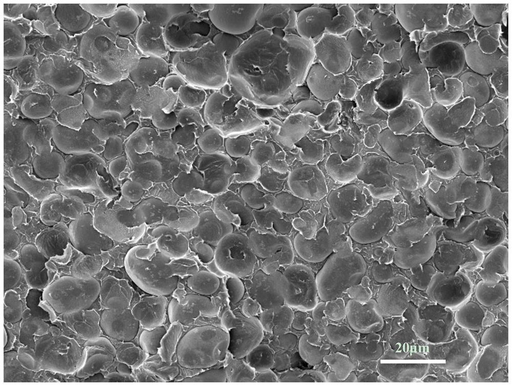 Preparation method of lightweight high-shielding PA6/PS composite foam