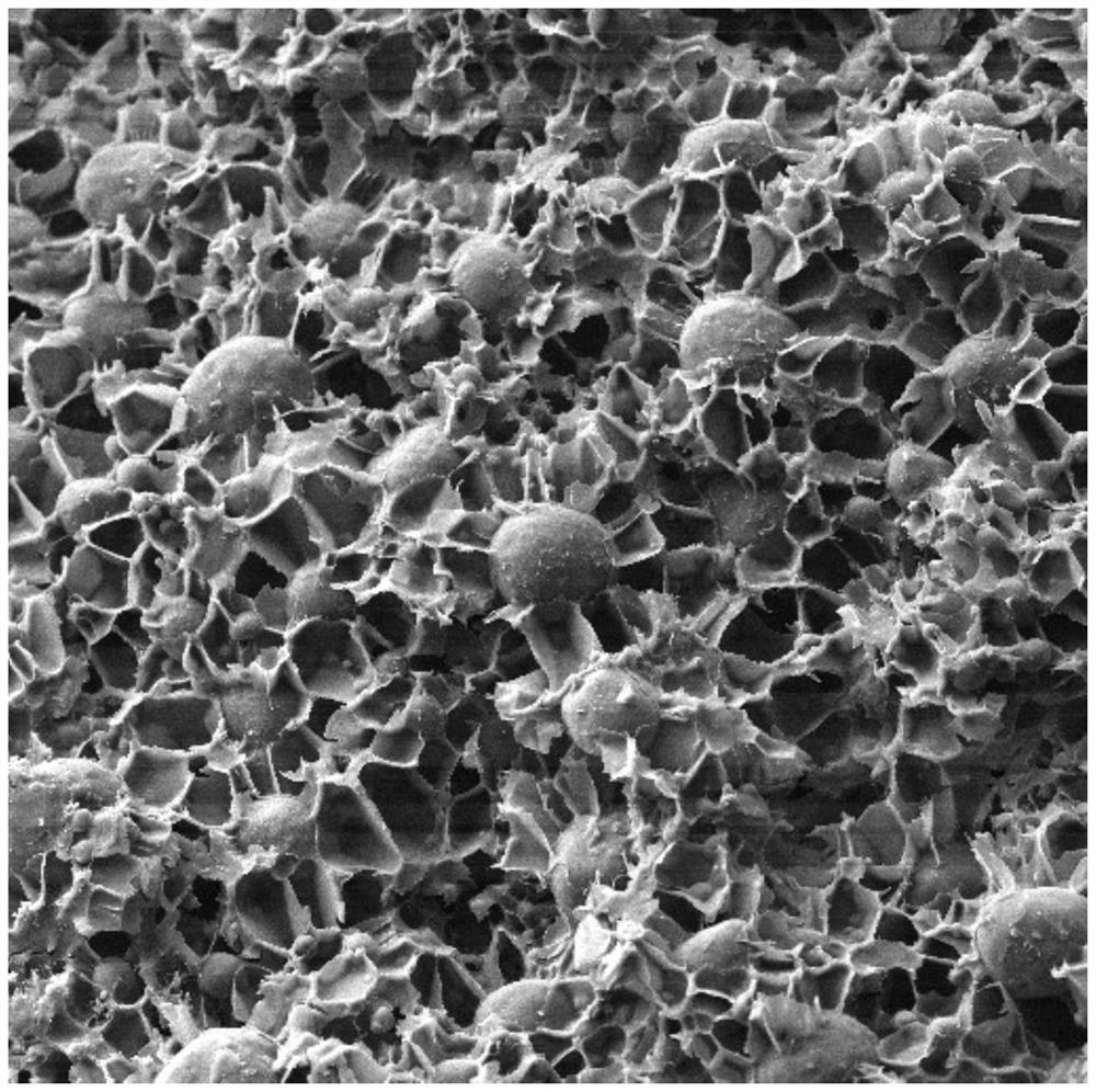 Preparation method of lightweight high-shielding PA6/PS composite foam