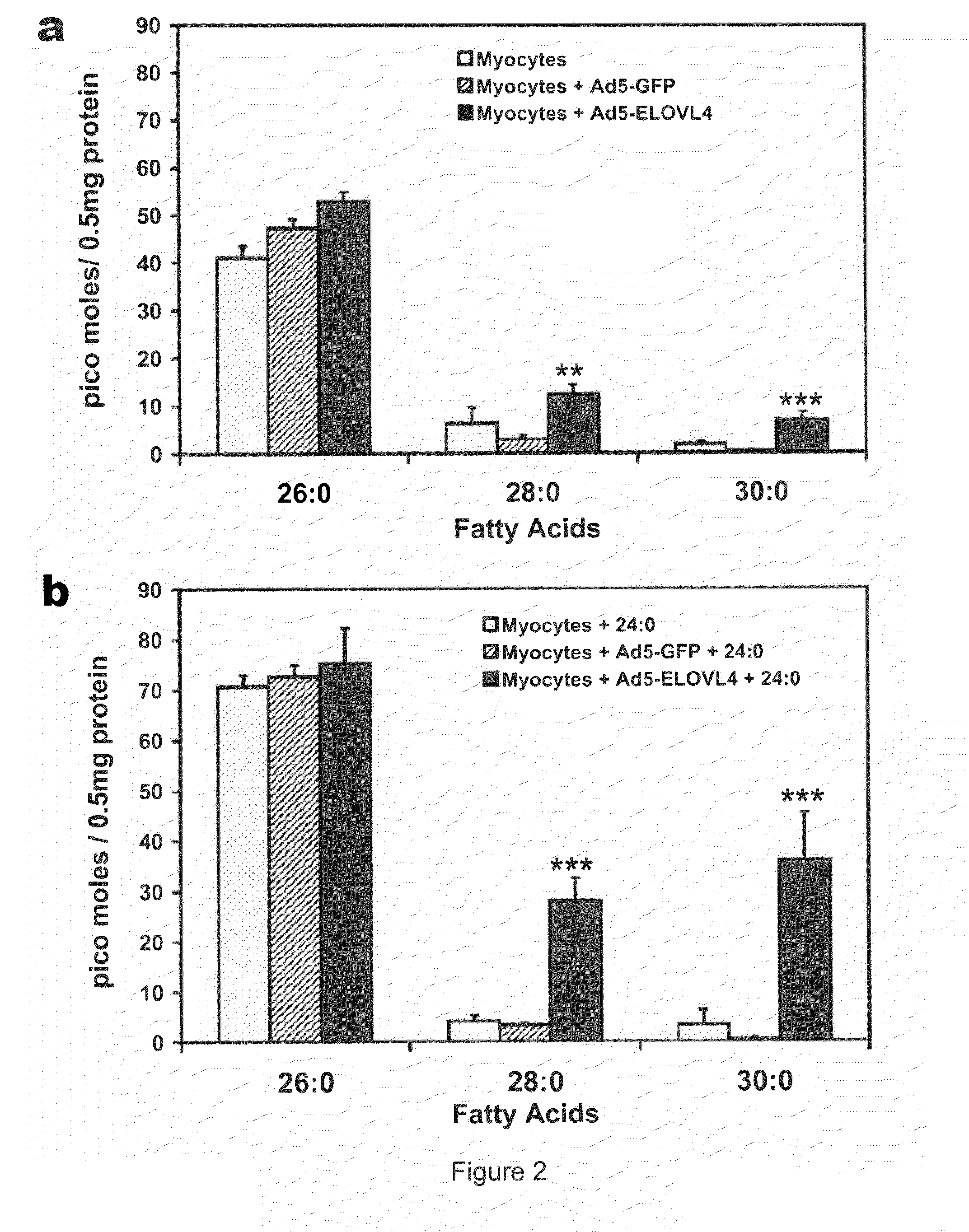 Very long chain polyunsaturated fatty acids, methods of production, and uses