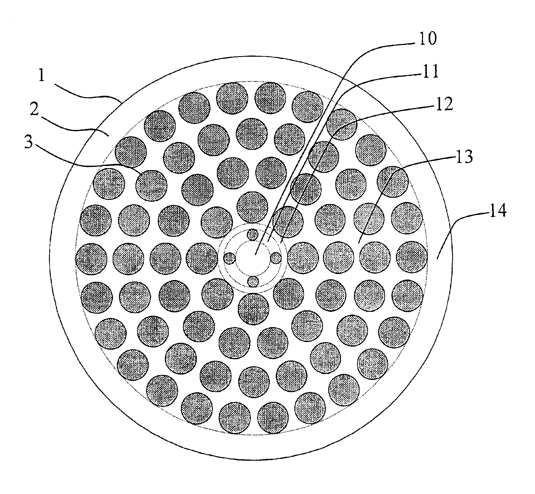 Microstructured optical fiber and optical module