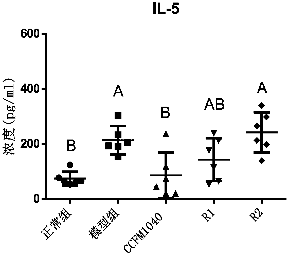 Lactobacillus reuteri capable of alleviating allergic asthma and application thereof