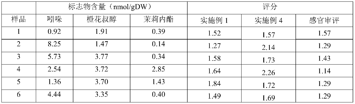 Markers and methods for screening high-flavor tea tree resources suitable for making oolong tea