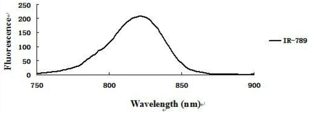 Near infrared fluorescence molecular probe, and preparation method and application thereof