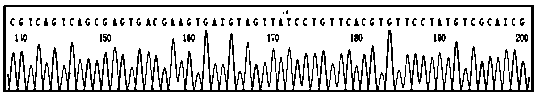 DNA-carrier-based Chinese character information storing method