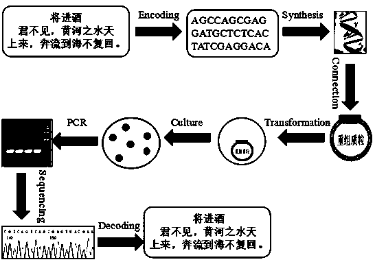 DNA-carrier-based Chinese character information storing method