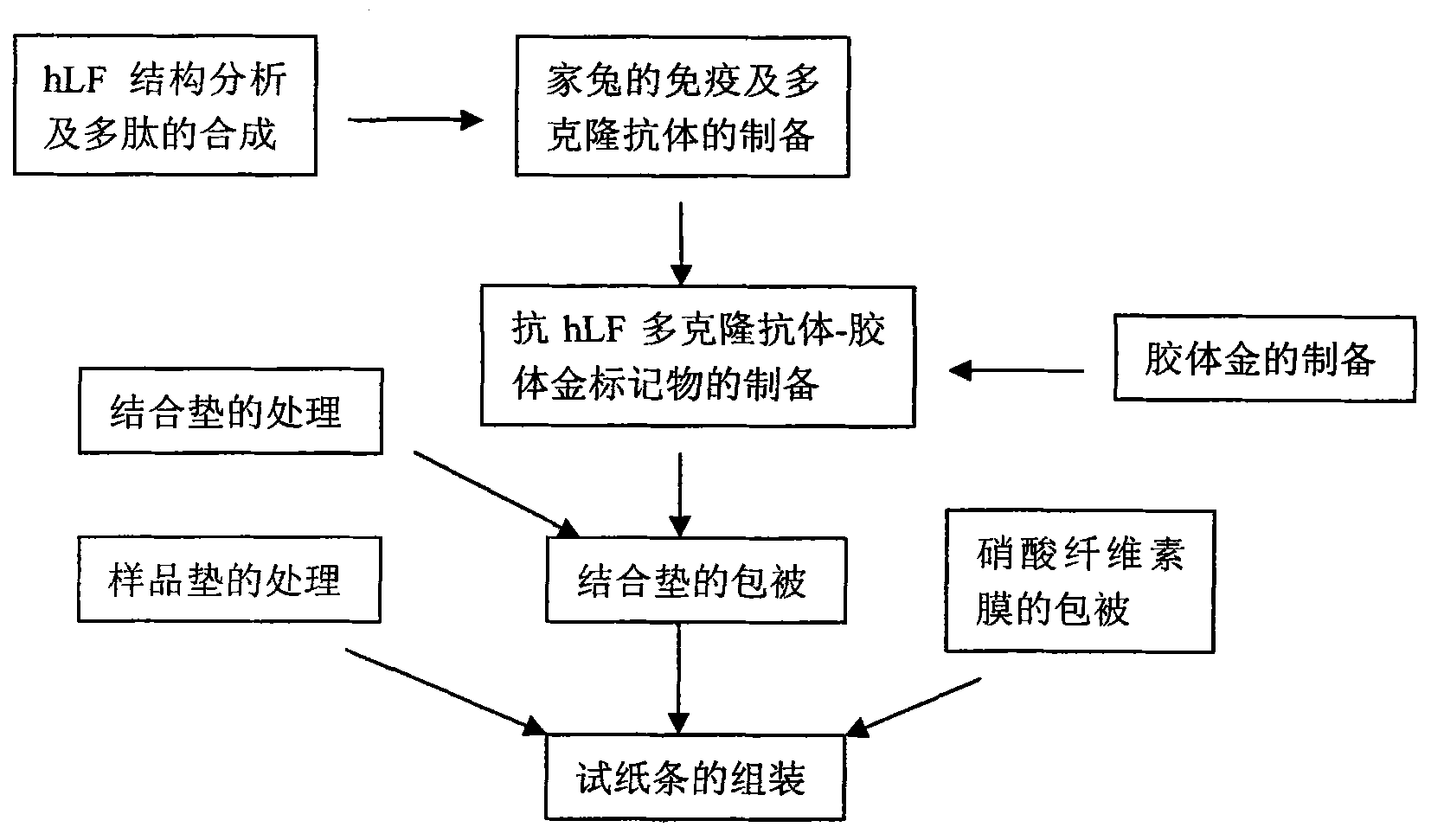 Screening test paper strip for human lactoferrin in milk and preparation method