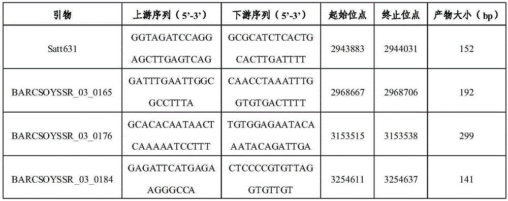 Molecular marker Insert 144 of soybean epidemic-disease-resistant gene RpsQ and application of molecular marker Insert 144