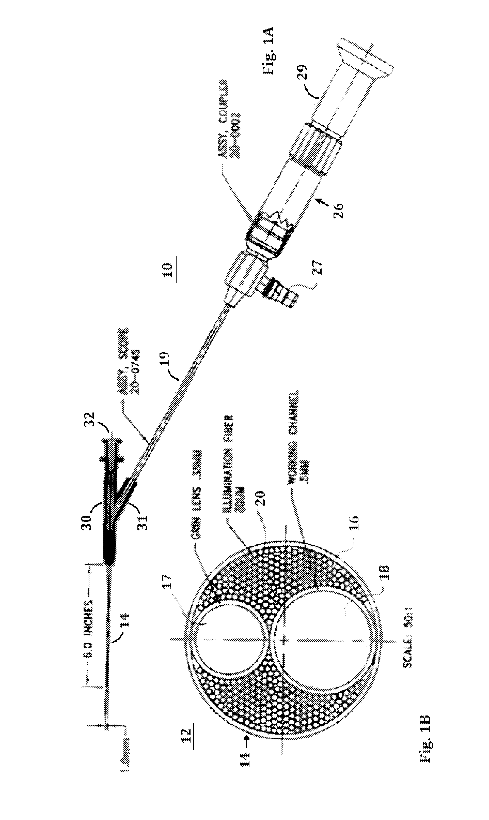 Microendoscope and methods of use