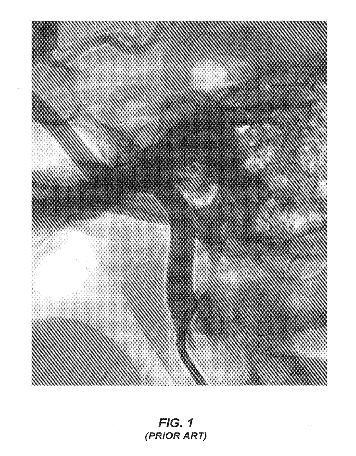 Delivery catheter with fixed guidewire and beveled elliptical port