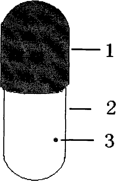 Osmotic pump controlled release capsule case and preparation thereof