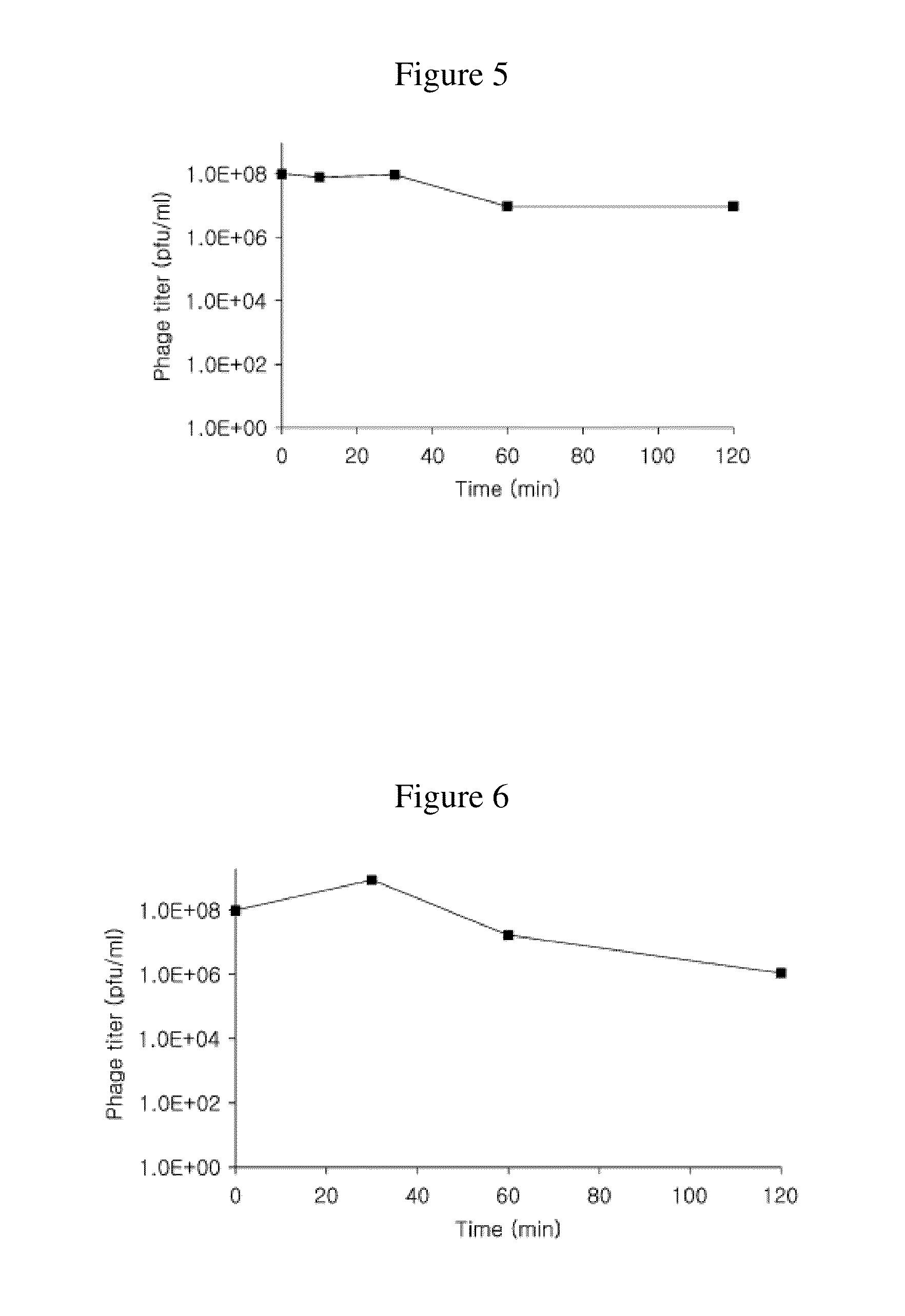 Novel bacteriophage and antibacterial composition comprising the same