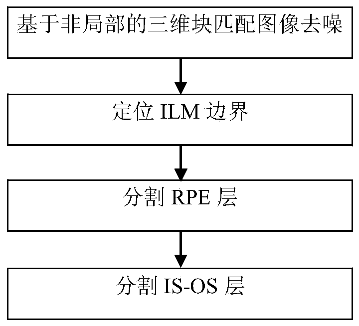 Vessel-based registration method for eye fundus image and SD-OCT projection image