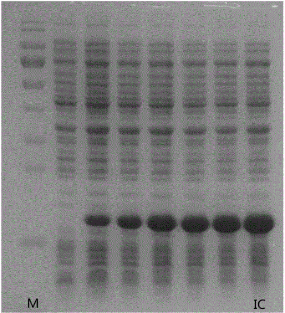 Mercury-chelated immune complex, preparation method and application thereof