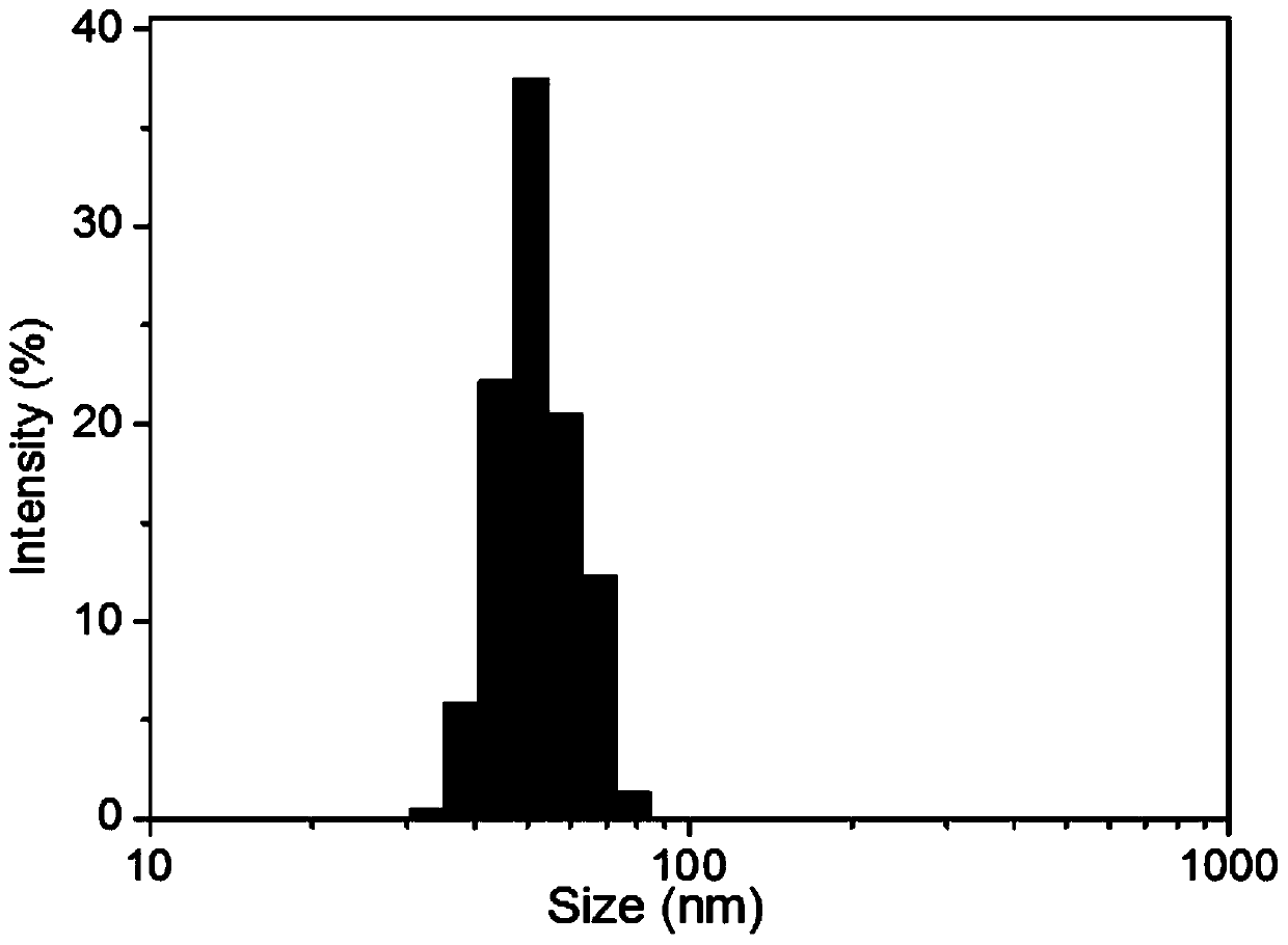 Composite hydrogel for promoting osteomyelitis healing and preparation method thereof