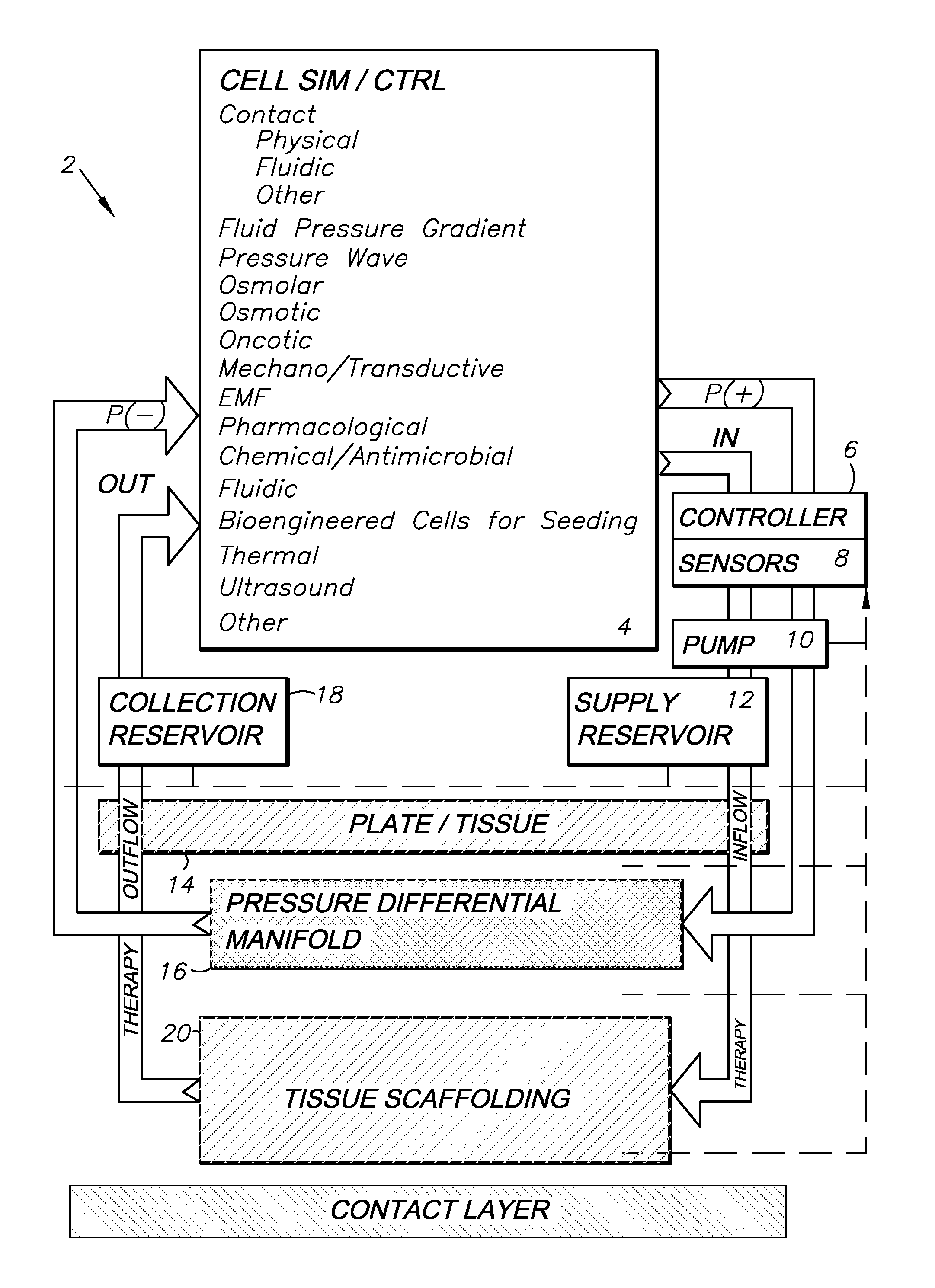 Simulation and control system and method using contact, pressure waves and factor controls for cell regeneration, tissue closure and related applications