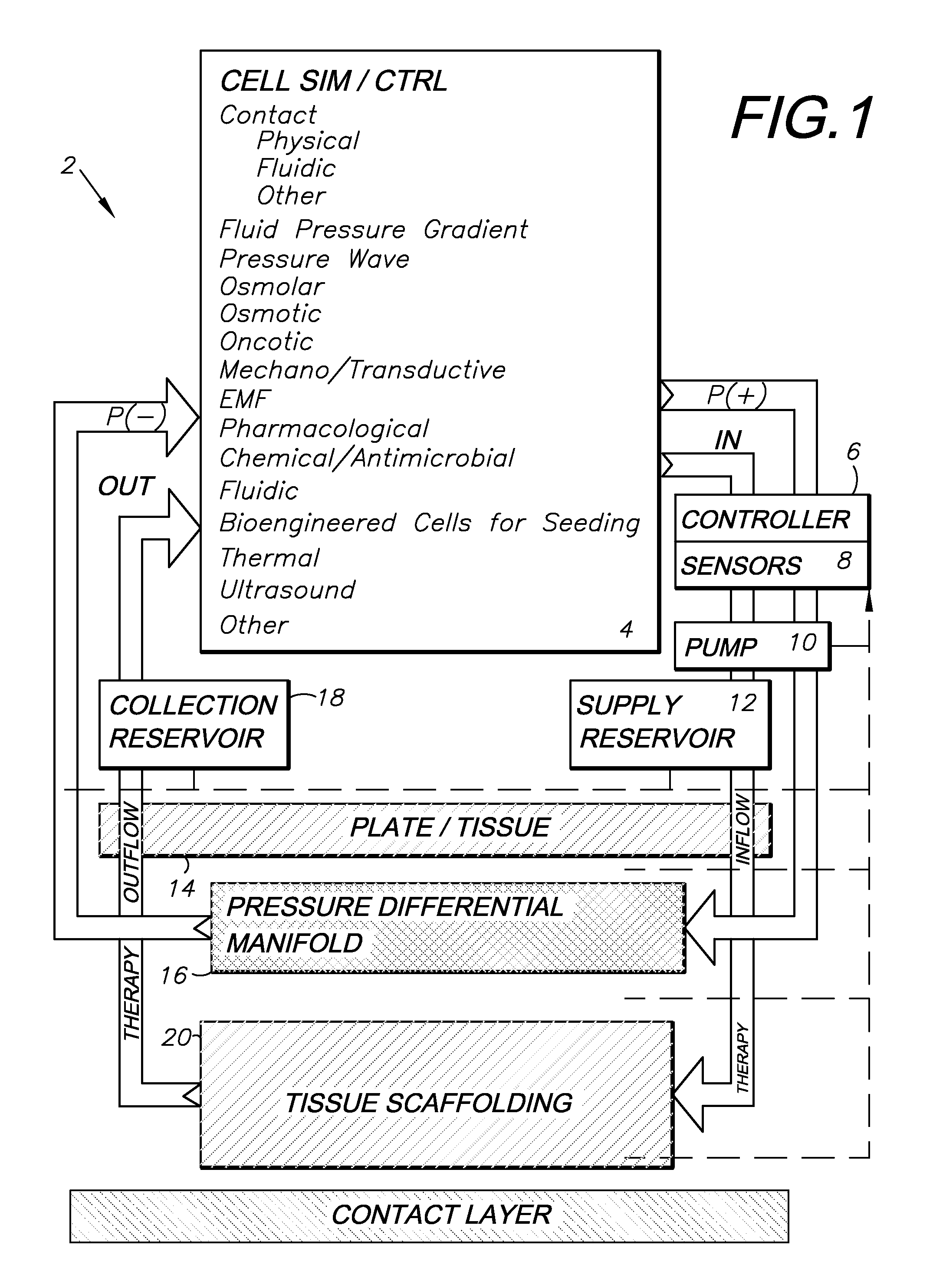 Simulation and control system and method using contact, pressure waves and factor controls for cell regeneration, tissue closure and related applications