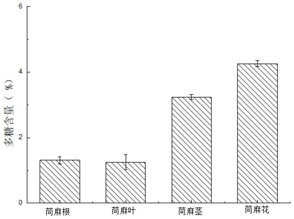 Abutilon theophrasti flower stem extract, preparation method thereof and application of abutilon theophrasti flower stem extract in preparation of nitrite degradation scavenger