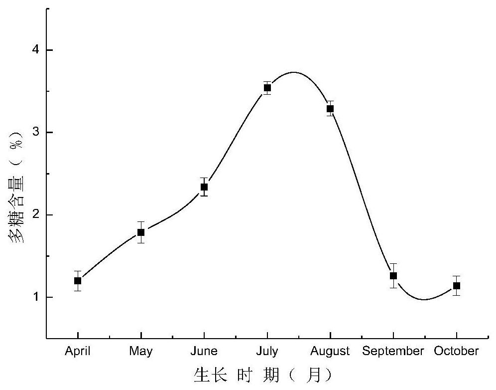 Abutilon theophrasti flower stem extract, preparation method thereof and application of abutilon theophrasti flower stem extract in preparation of nitrite degradation scavenger