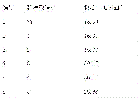 Trehalose synthase mutant and gene thereof