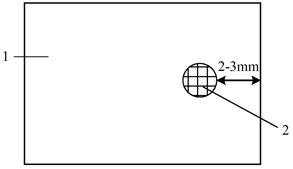 Method for observing TSV (through-silicon-via) copper crystalline grains