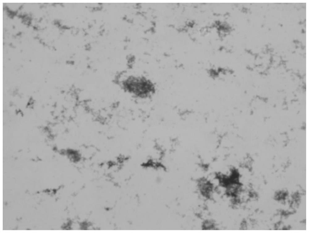 A Strain of Mycoplasma Hyopneumoniae and Its Application