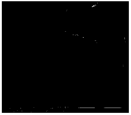 A kind of lightweight concrete aggregate and its preparation method