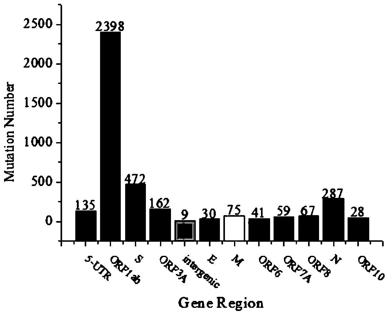 Novel coronavirus nucleic acid testing primer pair with anti-mutation performance, kit and application of primer pair