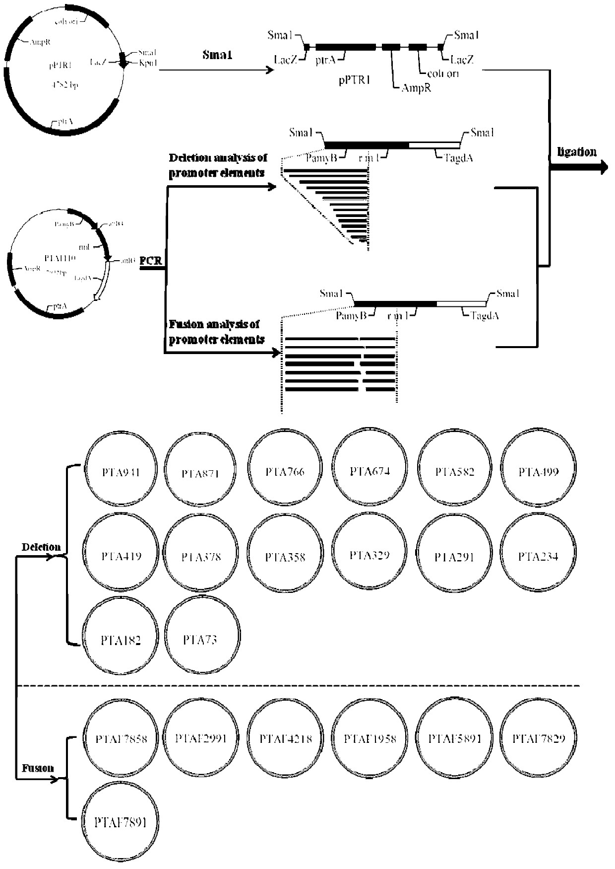 Promoter for filamentous fungal protein secretion pressure feedback regulation element and feedback inhibition resistance, plasmid, preparation method and transformed cell