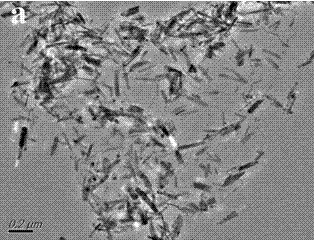 Preparation method of graphene-based ferroferric oxide nano-composite material