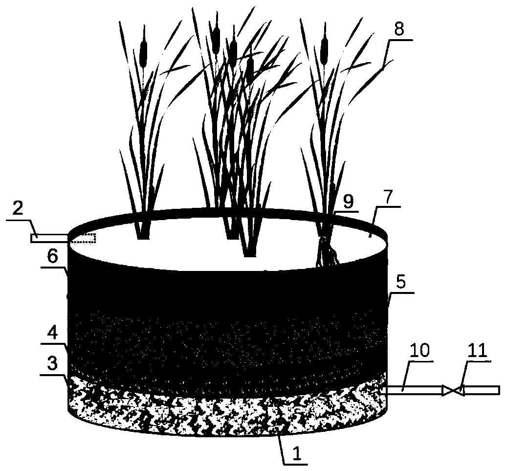 Device and method for inducing root surface of emergent aquatic plants to be coated with manganese films