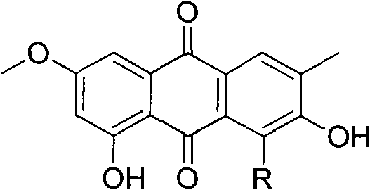 Anthraquinone dimer derivative and preparation method and application thereof