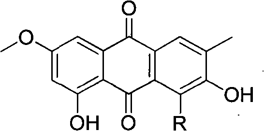 Anthraquinone dimer derivative and preparation method and application thereof