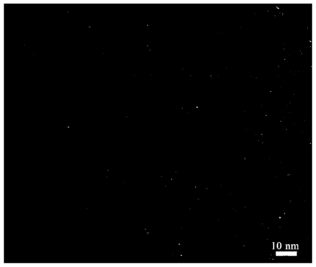 Fluorescent gold nano-cluster taking cellulase as template and preparation method and application of fluorescent gold nano-cluster