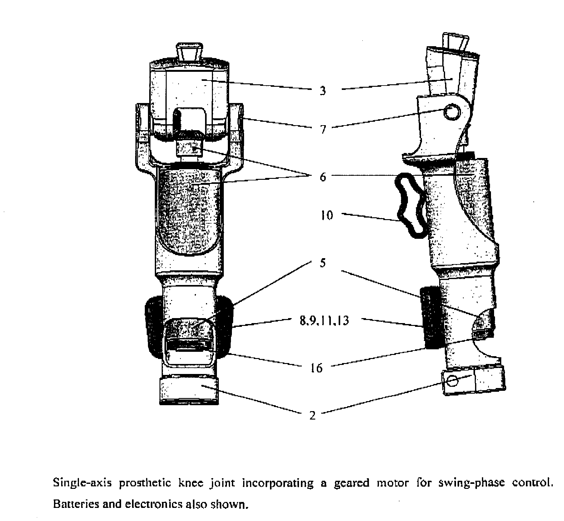 Generator for prosthesis and orthosis