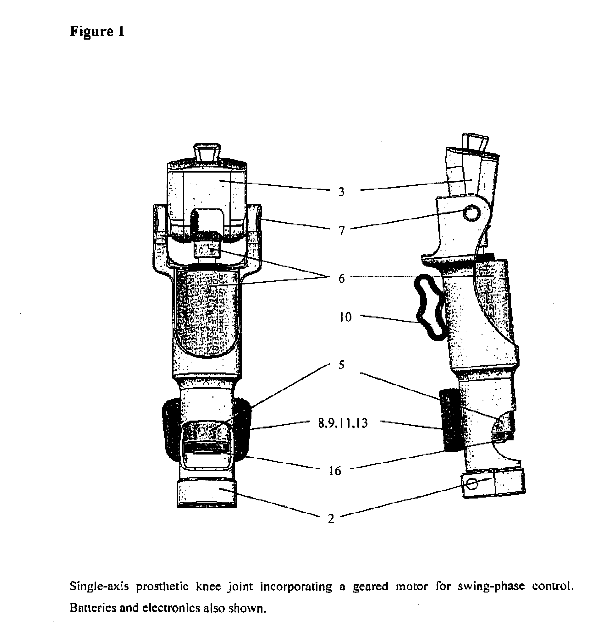 Generator for prosthesis and orthosis