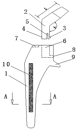 A combined hip joint