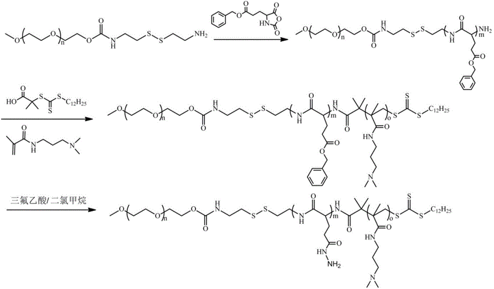 MPEG-poly(L-glutamic acid-gamma-hydrazide)-PDMAPMA triblock copolymer, and synthesis method and application thereof