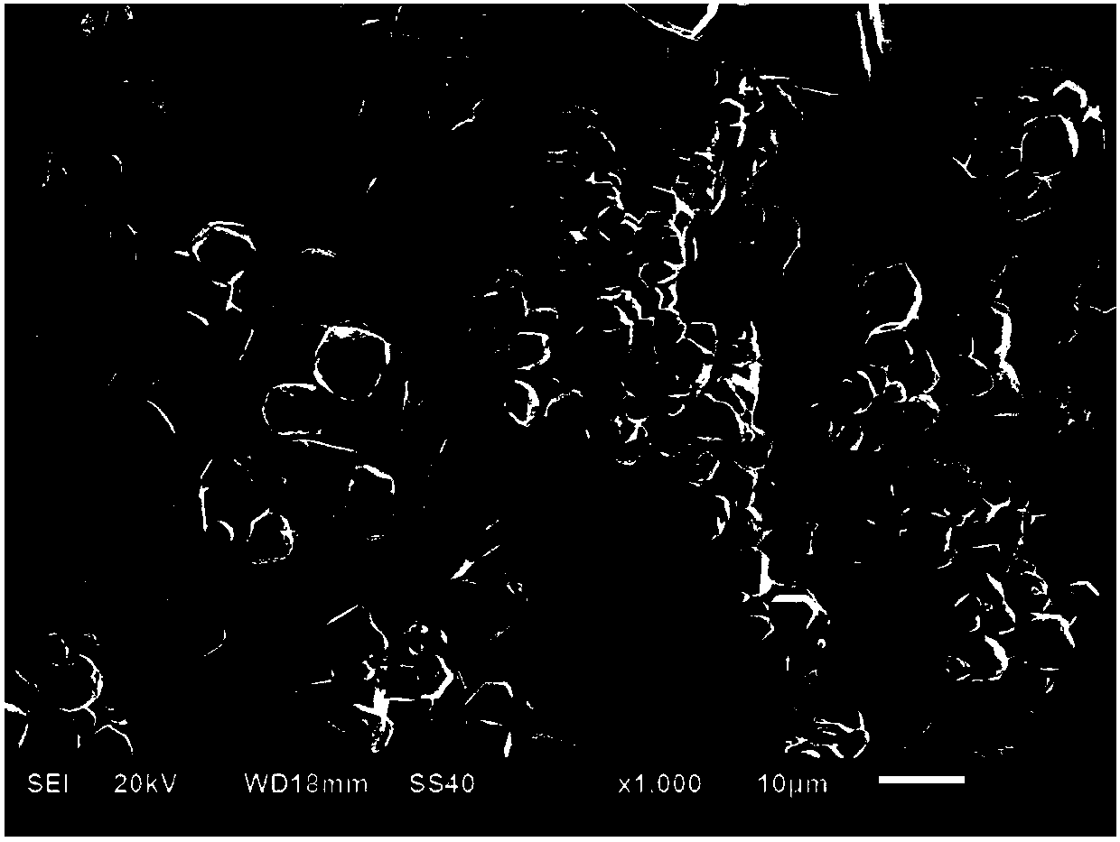 Method for preparing gradient porous tungsten