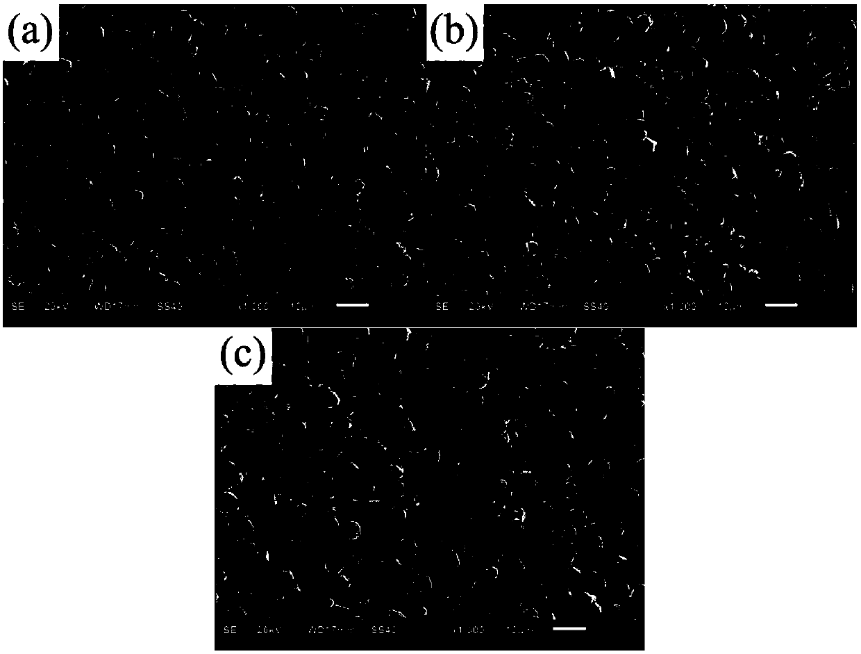 Method for preparing gradient porous tungsten