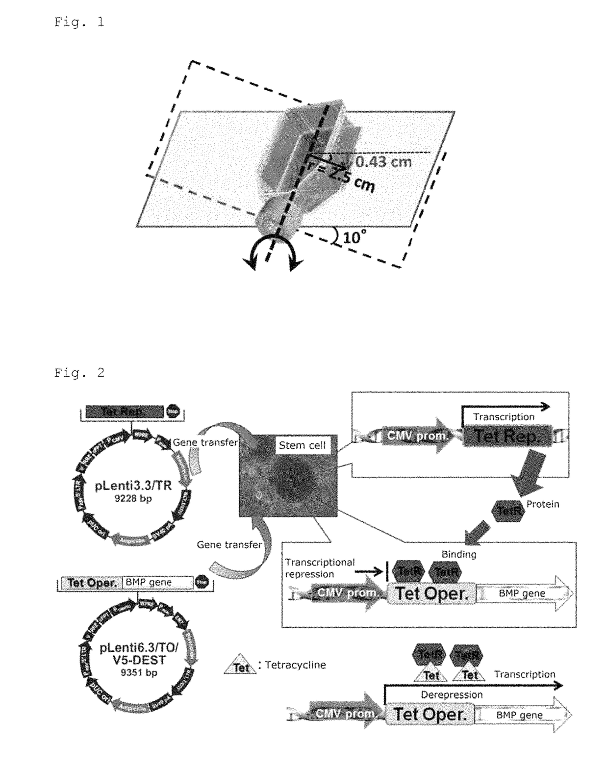 Bone regeneration agent