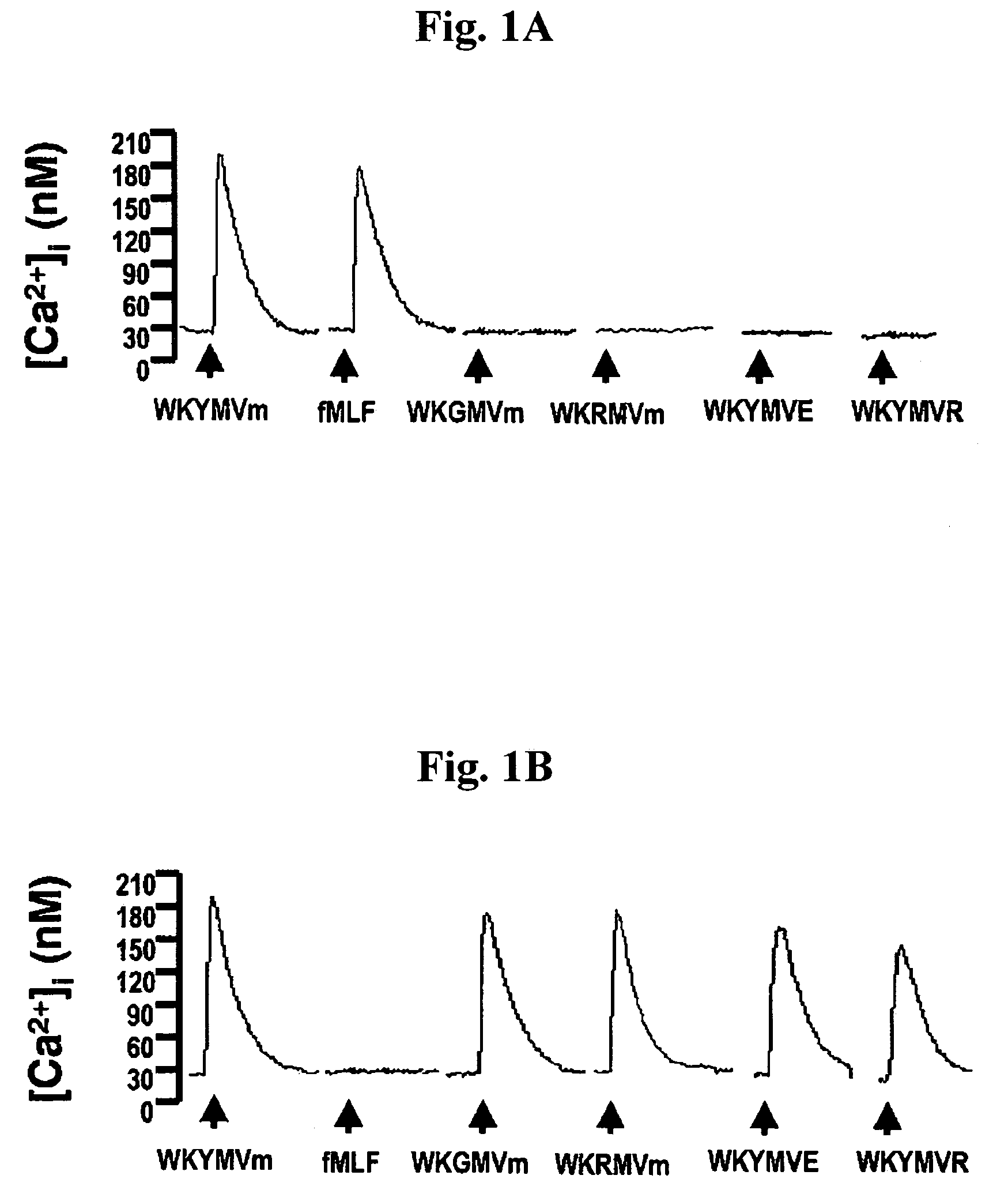 Immune-modulating peptide