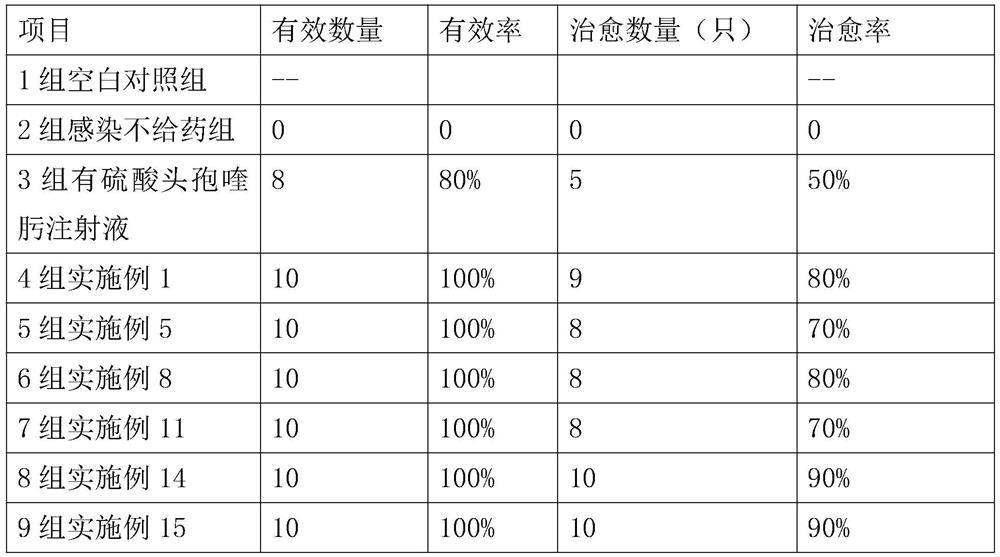 Cefquinome sulfate injection and preparation method thereof