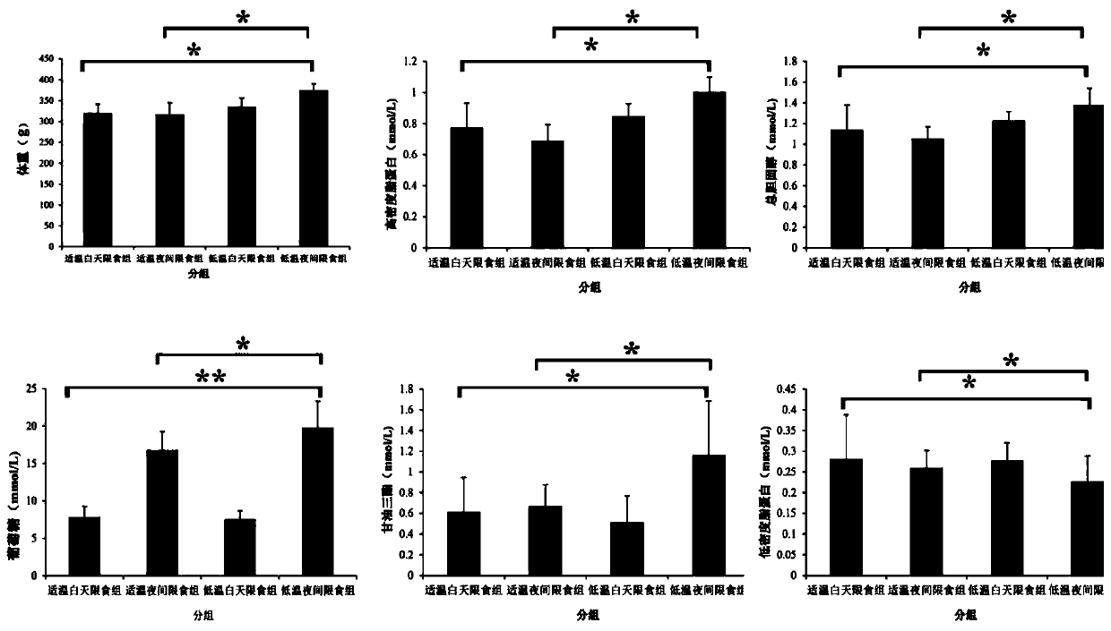 Method for inducing type 2 diabetes animal model through low-temperature and dietary rhythm regulation and control