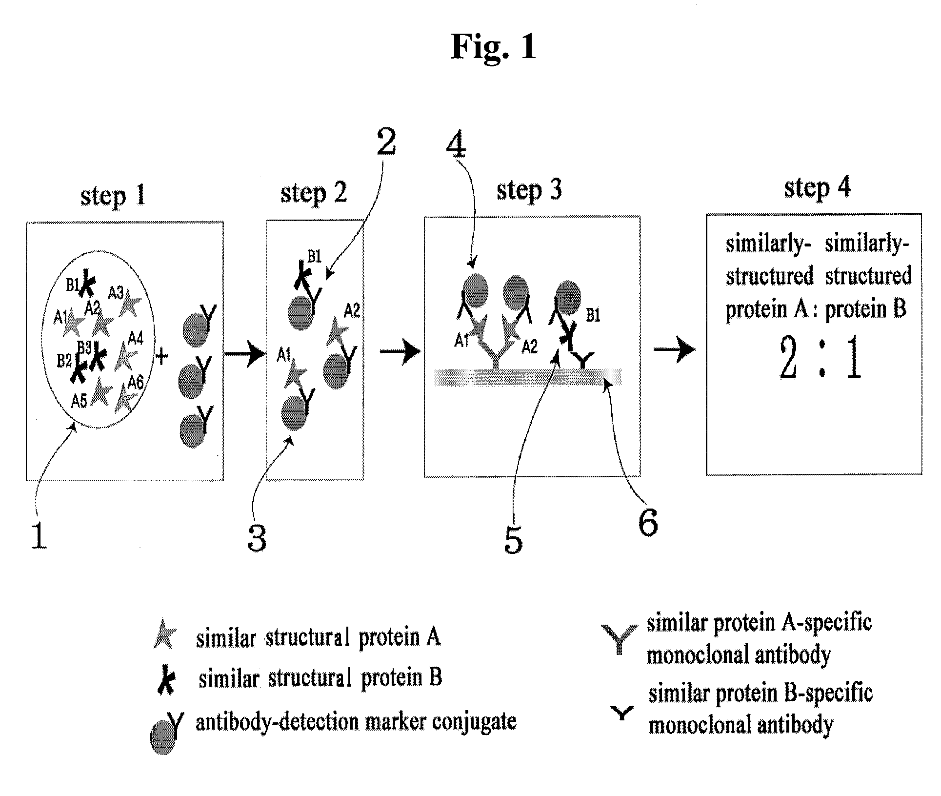 Diagnose device for measuring the ratio of proteins with similar structure