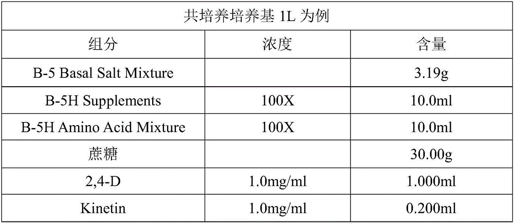 High-efficiency stable wide-spectrum alfalfa genetic transformation method, and transformation system obtained by using method