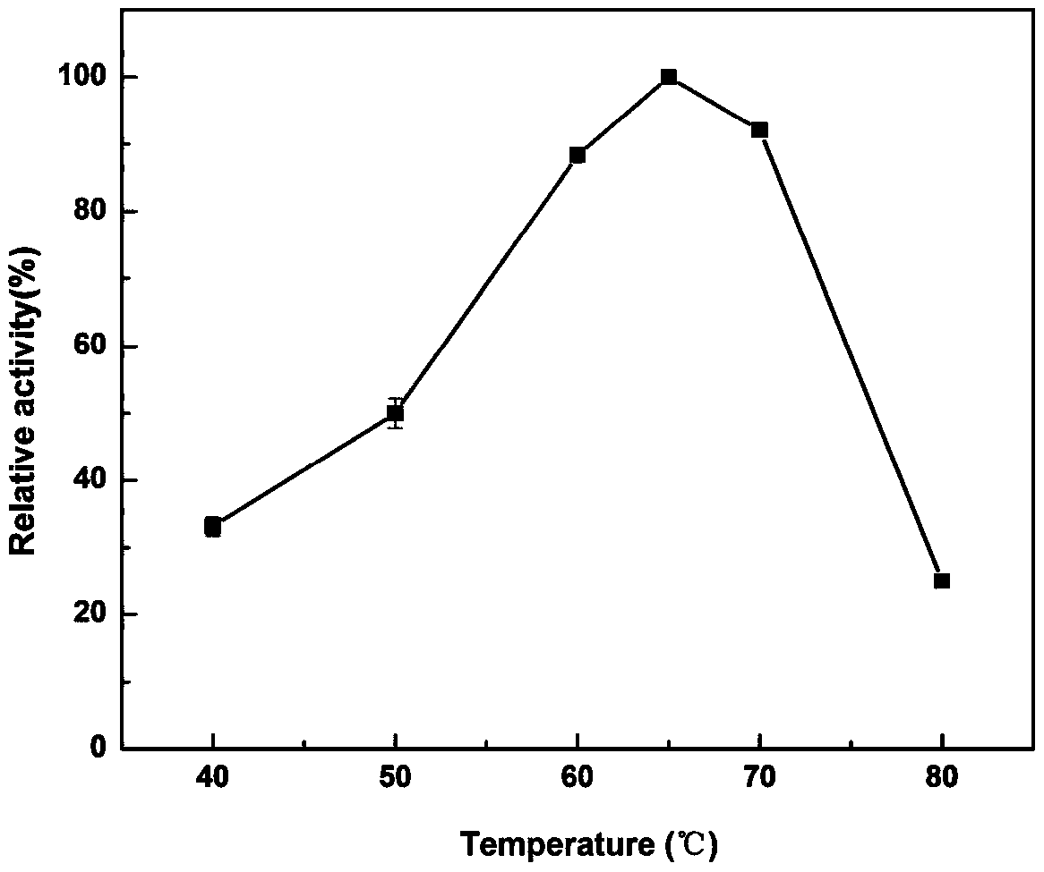 Coding gene of heat-resistant type pullulanase as well as recombinant expression thereof and application thereof