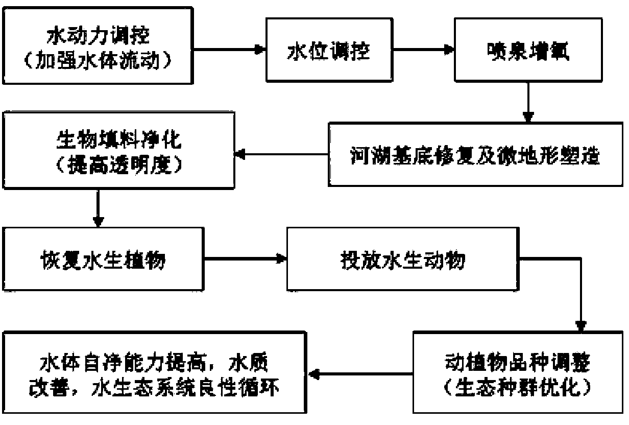 Comprehensive technology for ecological restoration of low-pollution river water