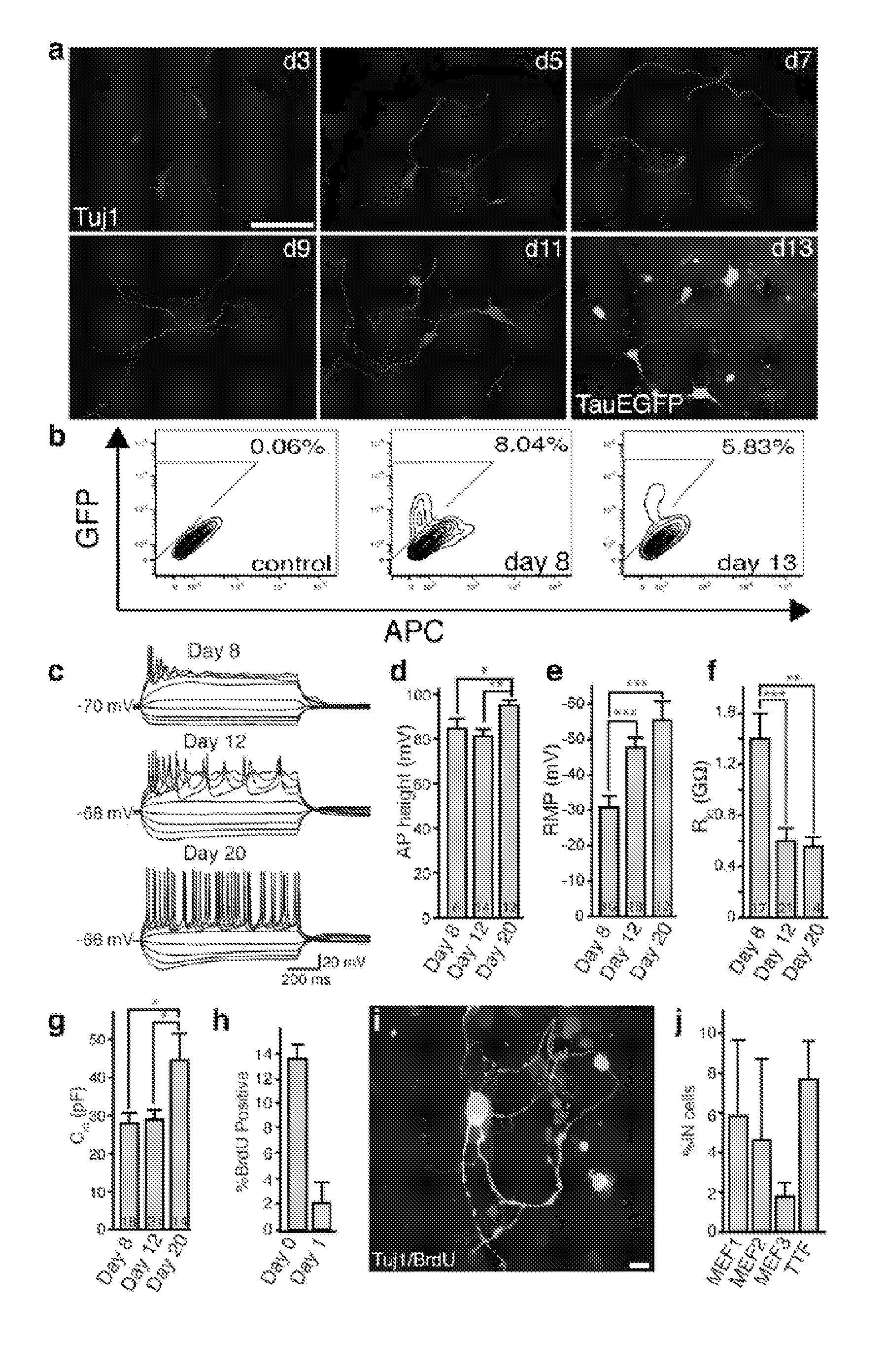 Direct conversion of cells to cells of other lineages