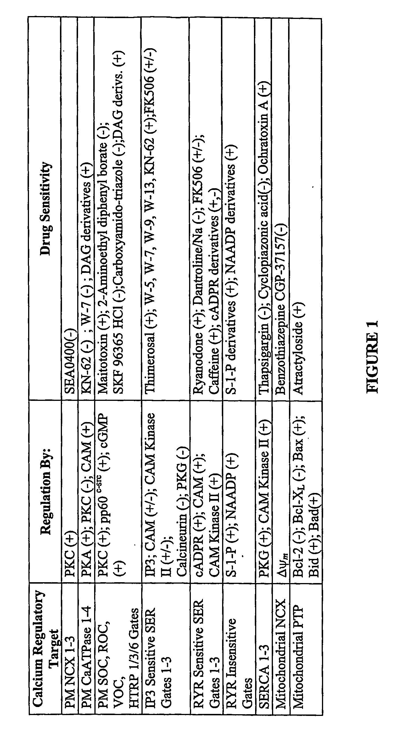 Methods for the selective treatment of tumors by calcium-mediated induction of apoptosis